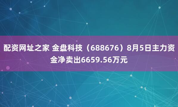配资网址之家 金盘科技（688676）8月5日主力资金净卖出6659.56万元