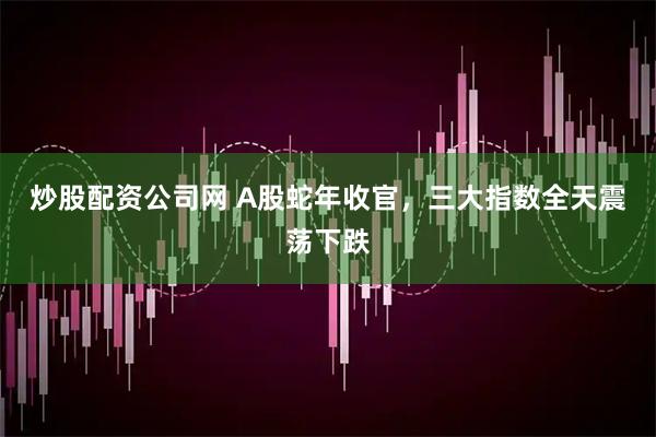 炒股配资公司网 A股蛇年收官，三大指数全天震荡下跌